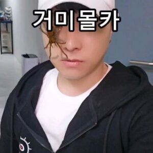 Kim Ryang -ha Instagram - 【 #량하효과 】 
잘~ 낚이는구만 흐흐