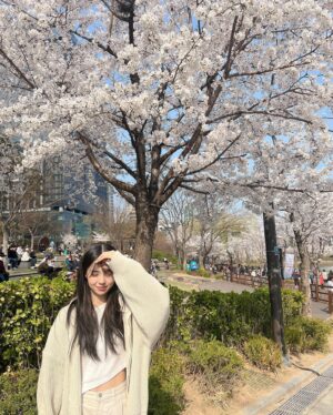 Kim Sae-yeon Instagram - everthing pink🌸
