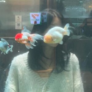 Kim Seo An Instagram - 🫧🐠🫧🐠