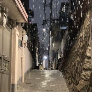 Kim Seo An Instagram - 밀린 겨울 정리하기