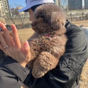 Kim Soo-ro Instagram - 몇일전 .....
조조와 산책.
몇일전.......
10기들과 발레수업 후 수건돌리기.
오늘..........
 스모크 총막공.

큰사랑 감사드립니다.
늘 범사에 감사........
