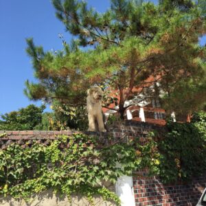 Kim Young-woon Instagram - 아 심심해...뭔가 신나는 일 없으려나