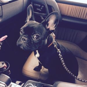 Kim Young-woon Instagram - 우리 춘향이 오빠 저 어디가요?ㅎㅎㅎ