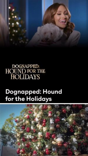Kimberly Guerrero Instagram - Trailer for Dognapped: Hound for the Holiday’s. Currently streaming this Holiday season on @appletv @peacock @primevideo & more 🌲

Starring Sara Ball, Noah Fearnley, Vivica A. Fox,
Kimberly Dawn Guerrero

@saraballzz @noahfearnleyy @msvfox @gingerfirefly @michaelpiercesd @meredithactress @falkor.tv

Directed by @fredolenray

When an egotistical social media influencer’s dog is kidnapped, her long-suffering assistant teams up with a charming local vet to find the puppy before Christmas. As the two investigate suspects, they form a romantic bond along the way.

#holidaymovie #trailer #christmasmovie