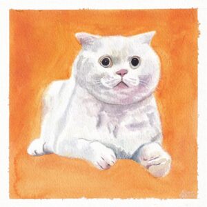 Kimie Tsukakoshi Instagram - Mr @onemarshymallow 
(Watercolour)