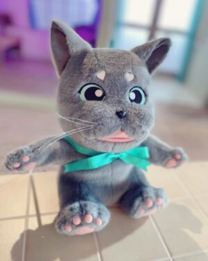 Kiyono Yasuno Instagram - 🐾
#pakupakumonster
#catday
#猫の日