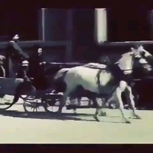 Koorosh Tahami Instagram - #روز_ملی_سینما 🌹
#کورش_تهامی 
#کوروش_تهامی
#ناصرالدین_شاه_اکتور_سینما