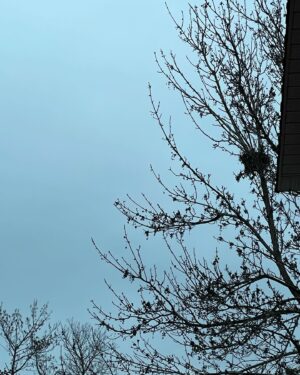 Korine Côté Instagram - Novembre ☁️