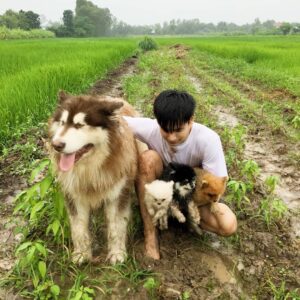 Korn Khunatipapisiri Instagram - เหตุการณ์พายุเข้าขอนแก่น พอดีกับวันที่พาลูกๆไปเล่นทุ่งนา สภาพเลยมันส์ไปหน่อย 😂