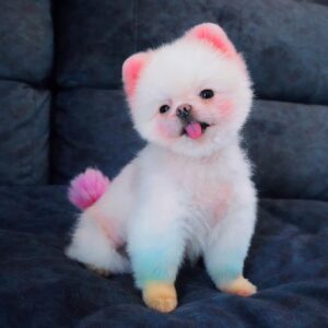 Korn Khunatipapisiri Instagram - 🥳My girl in colorful mode