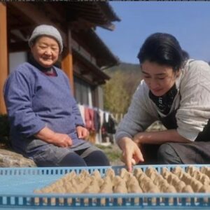 Koyuki Instagram - NHK Eテレ「小雪と発酵おばあちゃん」
今回は長崎県対馬の"せんだんご"

初回放送日：2024年5月26日18:30〜

作るのに千の手間がかかるから「せんだんご」。サツマイモが原料ですが、似ても似つかない姿に変身していきます。４か月かかるという大変な製造過程をお見せします！

対馬にしかない発酵食「せんだんご」。サツマイモを砕いて発酵させて丸めてカビを生やしてでんぷんを取り出してさらに丸めて乾燥させて・・・と果てしない手間がかかります。傷みやすいサツマイモを保存食にする対馬の人々の知恵、世界的にも珍しい食べ方だそうです。４か月かかる過程の最後に参加した小雪もその大変さにびっくり。さらにその「せんだんご」、モッチモチの麺「ろくべえ」になるんです！

#NHK
#Eテレ
#小雪と発酵おばあちゃん
#発酵食