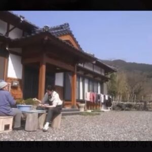 Koyuki Instagram - NHK Eテレ「小雪と発酵おばあちゃん」
今回は長崎県対馬の"せんだんご"

初回放送日：2024年5月26日18:30〜

作るのに千の手間がかかるから「せんだんご」。サツマイモが原料ですが、似ても似つかない姿に変身していきます。４か月かかるという大変な製造過程をお見せします！

対馬にしかない発酵食「せんだんご」。サツマイモを砕いて発酵させて丸めてカビを生やしてでんぷんを取り出してさらに丸めて乾燥させて・・・と果てしない手間がかかります。傷みやすいサツマイモを保存食にする対馬の人々の知恵、世界的にも珍しい食べ方だそうです。４か月かかる過程の最後に参加した小雪もその大変さにびっくり。さらにその「せんだんご」、モッチモチの麺「ろくべえ」になるんです！

#NHK
#Eテレ
#小雪と発酵おばあちゃん
#発酵食