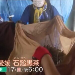 Koyuki Instagram - NHK Eテレ
「小雪と発酵おばあちゃん」
次回は明日、日曜日18:00よりオンエアです。

今回は、愛媛県で「石鎚黒茶」の作り方を教えていただきました。
幻の発酵茶と言われているそうです。
是非ご覧ください。

【放送内容】
初回放送日: 2023年9月17日18:00〜

今回は、世界的に見てもかなり珍しいという、お茶です。２度の発酵を経て生み出されるもので、独特の味わいがあります。

飲んでみたんですが、さわやかな酸味（乳酸菌も豊富）が、なんとも美味！でした。今は失われてしまった集落で細々と作られてきたお茶で、これを近隣の有志が受け継ぎ、守り続けているのです。そのグループの皆さんを取材しました。道具を一から手づくりするなど、ここまでの道のりには相当な苦労があったそうです。発酵のメカニズムについては専門家も首をかしげていて、ミステリアスなお茶でもあるんですよ。

#NHKEテレ
#小雪と発酵おばあちゃん 
#発酵