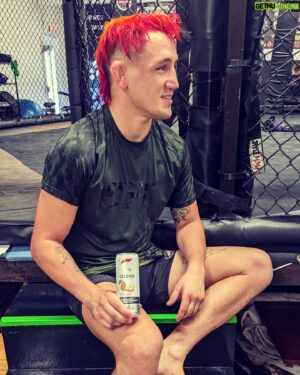 Kris Moutinho Instagram - First day back to sparing with a little help from fugi apple pear!!
.
.
.
@celsiusofficial #celsiuslivefit #celsiusbrandpartner #godisgood