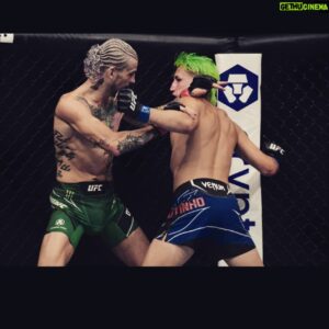 Kris Moutinho Instagram - Boop
.
.
.
#soulless #silverbackvibes #ufc #mma #regimenttrainingcenter #topgamemanagement #lauzonmma #godisgood #grateful #strikking #wrestling