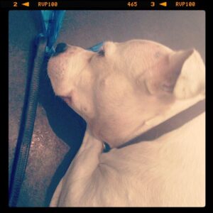 Kristen Johnston Instagram - @mcraves next to me at hair salon