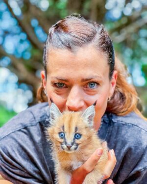 Kristiina Mäki Instagram - 🐱
#karakal