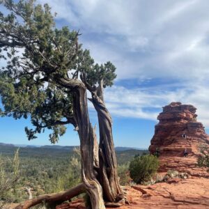 Krystin Goodwin Instagram - ⚡️Sedona: views and hikes for days