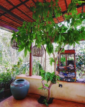 Kunal Karan Kapoor Instagram - Lost in the rhythm of the waves and the whispers of palm trees, I found my own slice of paradise at Cabo Serai in South Goa. 

Enveloped in a cocoon of tranquility in the absence of urban clamour, this eco resort seamlessly blends luxury with sustainable travel. The gentle rustle of leaves and distant waves lend a serene backdrop and the minimalist design create a zen haven. The staff, graciously fulfilling all our indulgences, going above and beyond and truly making our stay memorable. Their warm and friendly demeanour made us feel not just like guests, but cherished members of a temporary community of Cabo Serai. A community that lives well and eats scrumptiously organic, locally sourced cuisine. 
Thank you @caboserai for being the perfect escape from the daily grind. Here, amidst the golden sands and azure waters, every moment feels like a chapter from a novel waiting to unfold. Thank you for a night sky full of stars. 

.
.
.
.
.

#CaboSeraiEscapes #GoaGetaway #caboserai #caboderama #canacona #beachsideretreat #beachresort #southgoa #goa #incrediblegoa #ecoluxury #luxury #ecofriendly #ecoresort #roomwithaview #seaviewresort #goabeaches #goabeachresort #vacation #getaway #weekend #beach #cottage #cliff #hill #seaview