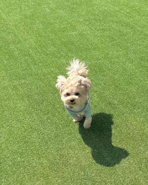 Kwon Hwa-woon Instagram - 최근