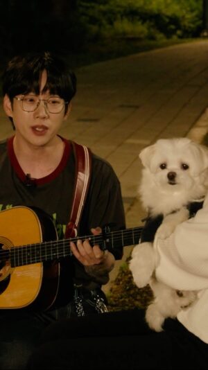 Kwon Jeong-yeol Instagram - 부끄~러운 맘을 숨긴 “부끄”랑(@bookkeu_puppy) 밤새고 싶은 10CM

🐶 횽아 나 잠와…💤

@layback_insta 

다음에는 어디로 갈까요? 

#10CM #십센치 #권정열 #너랑밤새고싶어 #너밤싶 #LateNightWalk #부끄 #bookkeu