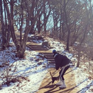 Kwon Soo-hyun Instagram - 가지마 예쁜 청계산 돼냥아🐱
(뭘 먹고 저렇게 퉁퉁해졌지... 나 같다)