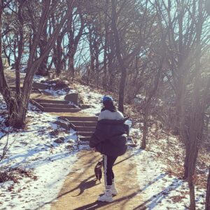Kwon Soo-hyun Instagram - 가지마 예쁜 청계산 돼냥아🐱
(뭘 먹고 저렇게 퉁퉁해졌지... 나 같다)