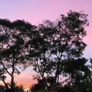Kyle Allen Instagram - “There are at least three individual processes that combine in unique ways to help us to make good decisions,” said Stephanie Groman, associate research scientist of psychiatry and lead author of the research.

Groman says an analogy would be deciding on a restaurant for dinner. If restaurant *A* has good food, one brain circuit is activated. If the food is bad, a different circuit is activated. A third circuit records the memories of the experience, good or bad. All three are crucial to decision-making, Groman says.

For instance, without the “good choice” circuit you may not return to the restaurant with good food and without the “bad choice” circuit you might not avoid the restaurant with bad food.  The third “memory” circuit is crucial in making decisions such as whether to return to the restaurant after receiving one bad meal after several good ones.

Alterations to these circuits may help explain a hallmark of addiction — why people continue to make harmful choices even after repeated negative experiences, researchers say.

The Yale researchers previously showed that some of the same brain computations were disrupted in animals that had taken methamphetamine.

“Because we used a test that is equivalent to those used in studies of human decision- making, our findings have direct relevance to humans and could aid in the search for novel treatments for substance abuse in humans,” Groman said.

By Bill Hathaway
Via - News.yale.edu 

#triedtosaythisinmyownwords
#bill #diditbetter #surprise #ivegot #your #nose #secrethashtagclub #wheredoyouthink #good #decisions #comefrom #iloveyouall