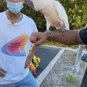 Kyle Massey Instagram - Congratulations @c.syresmith on the @msftsrep drop and the Dope ass @newbalance #GoodVibes #Trippy2021 signed 1 of 1👇🏽👇🏽📸 @_brodytodd_