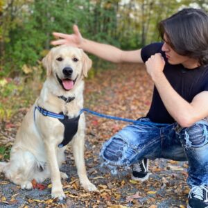Kyle Meagher Instagram - Fall Walks with Cooper 🍂

#dog #autumn #fall #actor #musician #actorslife #WhoLetTheDogsOutPart2 #GetALoadOfThatDog!!