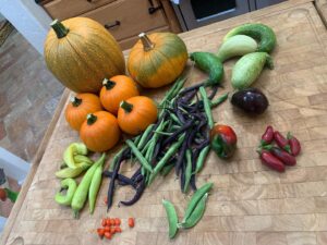 Kyle Newacheck Instagram - Pulling down the bounty from the late summer/fall crop and maybe the last of the season as the cold is coming.  This year was the first year I took the time to grow food in my backyard.  I was ambitious in the quantity, delighted when watching the growth, and filled with joy when I was able to eat it, despite not living up to the “professional farmer” expections I had placed on myself.  2020 has been a trip for all of us, but slowing down to recognize growth in ourselves and our surroundings might be the silver lining. ❤️