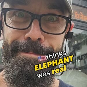 Kyle Paul Instagram - 🌟India has HOLIDAYS🇮🇳🎉

India feels like a year-round holiday extravaganza!🌏🎊 Every other day os a festival, fair, or God's birthday.🤩

But for this holiday... I thought a FAKE elephant for the real deal 🐘🙈! IT LOOKED SO REAL! But yeah, not my brightest moment.🤣

From my elephant encounters to savoring spicy street food, India's charm has me hooked. 🍛❤️ Can't wait to explore more of this incredible country and maybe learn to tell real from fake! 😅

#india 
#mumbai
#ganpati
#travel