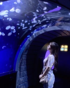 Kyoko Saito Instagram - 2021.9.5 blog～

本日9月5日で24歳のお誕生日を迎えました！

23歳はどんな一年だったかなと思い返してみると、色々壁に当たることの多かった一年だったな、と思うと同時にたくさんの新しいお仕事をやらせていただけた年だったなと思います。
　
私の23歳の1年間は良い意味でも悪い意味でも等身大な年でした。
　
前より大人になったなと感じる場面もあれば、些細なことで挫折してしまう場面もあり、まだまだ自分は子どもだなと思うこともたくさんありました。
　
この1年間は、写真集、ドラマ、冠番組など、特にソロ仕事をありがたいことにたくさんさせていただいた年でした。
　
グループ在籍中に、個人で呼んでいただけることは本当に毎回当たり前のことではなく、一つ一つのお仕事に感謝の気持ちでしかないです！
　
自分が選んだこのアイドルという人生をもっと楽しんで一日一日を大切に過ごしていきたいです。
　
24歳の抱負としては、壁に当たって乗り越えた時に、もっと成長し大人になりたいです。
　
中島みゆきさんの『時代』を思いながら、もっと気楽に生きていきたいです。
　
辛い時、そんな時代もあったな、と思える時が来るのかな？と思うのではなく、必ずそういう時が来るから今は踏ん張り時だと考え過ごしたいです。
　
意外とラフに気楽に生きた方がむしろ上手くいくこともたくさんあるので神経質に考えすぎず、人生を楽しみたいです☺️
　
不器用で語彙力なくて自分自身を上手く表現できないこんな私ですが、これからもアイドルとして頑張っていきたいので応援してくださると嬉しいです。
　
皆さんがいつも応援してくださって温かいお言葉をかけてくださるから頑張れています🥲
　
そんな皆さんに私もたくさん恩返しができるそんな一年にしたいです😊

#日向坂46 #けやき坂46 #齊藤京子#加藤史帆#佐々木美玲#佐々木久美#高本彩花#東村芽依#潮紗理菜#井口眞緒#柿崎芽実#高瀬愛奈#影山優佳#渡邉美穂#小坂菜緒#松田好花#富田鈴花#河田陽菜#濱岸ひより#金村美玖#丹生明里#宮田愛萌#上村ひなの
 #きょんこ#ラーメン大好き齊藤京子です #ひなあい #日向坂で会いましょう #国民的彼女 #とっておきの恋人