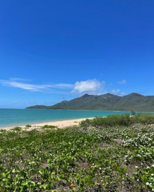 Lachlan Buchanan Instagram - Ok so the #Whitsundays is pretty alright…. 🏝️

#FarNorthQueensland #GreatBarrierReef #Australia #Summer #NewYears #2024 #familyphotography