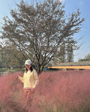 Lady Jane Instagram - 엄빠 사진은 갬성 노❌
증명사진처럼 찍어드리자⭕️

#가평 #자라섬 #꽃구경