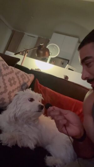 Laith Ashley Instagram - So, I got this tiny mic and decided to interview Baba. She wasn’t very responsive but isn’t she CUTE 🥰