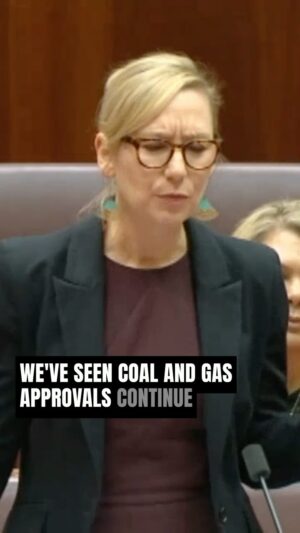 Larissa Waters Instagram - Our environmental laws are broken, and Labor promised to fix them but aren’t! Without a climate trigger, the laws do nothing to protect the environment from climate wrecking coal and gas, and without a ban on native forest logging, precious habitat continues to fall.
 
Any environment law that doesn’t consider climate pollution or protect native forests is clearly not worth the paper it’s printed on.