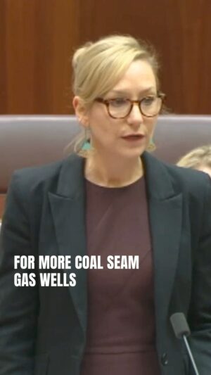 Larissa Waters Instagram - The Environment Minister has just approved a massive new Gina Rinehart gas project in Queensland, which will run until 2080, well after Labor says Australia will be at net zero emissions.
 
It's no wonder people are increasingly disappointed in Labor – approving 150 gas wells on top of the Great Artesian Basin is hardly the climate action people thought they were voting for.