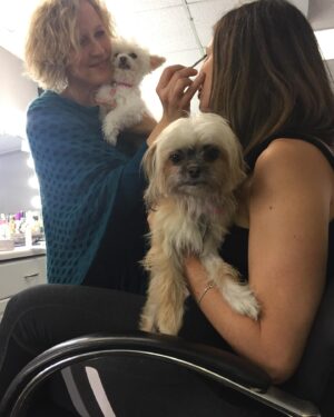 Larissa Wohl Instagram - I’ve been putting off this post because I don’t want it to be real 😢 My sweet baby Muppet is now in heaven with my mom 🌈 I rescued Mupper from @handinpaw after seeing her posted online. Muppet was my rescue baby for 9 years and quickly became my partner in crime. She came to work with me, slept with me, made me laugh every time she moved and secretly hated me. I always joked that she was the one who played hard to get with my affection. 

I know her quirky little face and sideways ears made a lasting impression on many people and I hope she inspired some to consider adopting and rescuing a little magical Muppet for themselves. Thank you to my Muppet for being by my side for so many (good and bad) seasons. I promised you I wouldn’t let you suffer and I hope I fulfilled that. Enjoy running and frolicking in heaven ❤️🌈❤️ I miss you and I’ll be posting about you forever and helping others in your name ❤️❤️❤️
•
•
•
#muppet #muppetbaby #untilwemeetagain #rip #rainbowbridge #imissyou #petrescueexpert #hallmarkchannel #homeandfamilytv #larissawohl #savedbythel #adopt #adoption #adoptdontshop #dog #dogs #dogsofinstagram #foster #fosteringsaveslives #mygirls #maltipoo #maltipoosofinstagram #instadogs #dogsofinstagram #smush #truelove
#dogmom #fourpaws