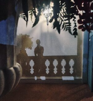Latthgarmon Pinrojkirati Instagram - shadow