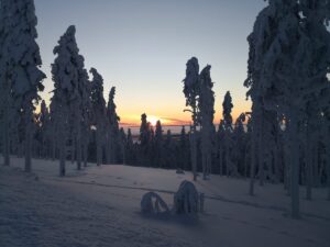 Laura Birn Instagram - loma loma loma kiitos