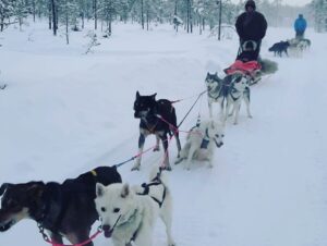 Laura Birn Instagram - loma loma loma kiitos