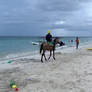 Laura Kariuki Instagram - jamaica- not horizontal