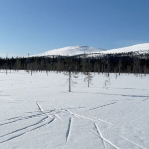 Laura Lepistö Instagram - 📍Ylläksen ympäri 
Kovasti on kyselty Ylläksen hiihtovinkkejä, joten tässäpä meidän lemppari.🫶🏼 Tallenna kevätlatuja tai ens talvea varten!☀️❄️

Jos haluat yhden pidemmän hiihtoretken tehdä kiireettä, niin hiihdä Ylläksen ympäri. MUTTA! Ehdottoman tärkein pointti on että menet oikeaan suuntaan eli vastapäivään.☝🏼😅 Eli Isomettän nousu kun vedetään ylöspäin, niin siihen suuntaan kiertäessä saa nautiskella reitin aikana enemmän laskuista ja meno on mukavampaa.😎

Me kun lähdetään Äkäslompolosta liikkeelle, niin Isomettän 1,5km noususta saa hyvän alkulämmön päälle.😁🔥 Pitstopit on tietty tärkein suunnitella etukäteen, sillä latukahvilan munkki on hiihtoretken must. Sopivina pysähdyspaikkoina toimii vaikkapa Aurinkotupa ja Latvamaja.

Kilsoja koko reitistä tulee reilu 30, mutta itselle ainakin näin telkkarista matkitulla sinne-päin-tekniikalla ja hyvällä peruskunnolla reitti on tosi mukava kun pitää vauhdin ja sykkeet maltillisena ja muistaa tankata. 

Swaippaa seuraaviin kuviin jossa reitti kartalla, ja stoorien puolella myös muutamat fiilikset reitin varrelta. Tee tää kiireettömänä päivänä ihanasta kelistä nauttien!☀️❄️

#ylläs #hiihto #hiihtovinkit #ylläsvinkit #visitylläs #visityllas #ylläksenympäri #maastohiihto #xcskiing #lapland #visitlapland #finnishlapland #lappi #lappivinkit