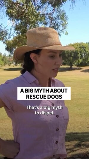 Laura Vissaritis Instagram - Debunked by a dog expert 🐾 #NewLeashOnLife

Stream now on ABC iview or Tuesdays 8pm on ABC TV. 

#Dog #RescueDog #DogBehaviourist