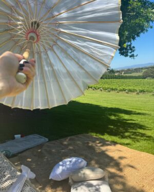 Laura Vissaritis Instagram - Since I can remember, @debortoliyarravalley have been big supporters of @3aw693, so we wanted to see what it was all about.
If you love scenic views, scrumptious food, excellent service, beautiful wine (I didn’t have any #babyonway) and space for your best 4 legged friend to explore, then we highly recommend. Chester even got special snacks. We will be back!