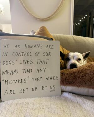 Laura Vissaritis Instagram - What a responsibility we have!