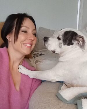 Laura Vissaritis Instagram - On this day, 15 years ago, the sun rose to a time that would change my life forever. I still remember the first time I saw him. His little white and chubby body and two asymmetrical patches across his perfect face - his 9 week old bum sat on my lap to which my heart simultaneously swelled and I promised him I would take care of him; that there was nothing I wouldn’t do for him. 

And so, over the past 15 years that is how we have lived together. I remember telling my partner ‘just so you know, I’ll never love you like I love Chester’. To which he replied ‘that’s ok, I’d feel the same’. (That’s when I knew he was the one by the way.)

To be able to spend more time with him, I changed careers - went back to study dog behaviour and training, psychology and behaviour medicine so I could have a sense of understanding him as best I could. But he has always been my true teacher. I have watched him grow from a young puppy at dog obedience school - running and wrestling for hours with his puppy friends, to mastering a skateboard and paddling up to his neck in all bodies of water. His play bows, barks and tail wags have always made my day and his zest for life has always inspired. 

Now at 15, he still looks the same to me. Perfect. Absolutely divine and beautiful in every way. What a privilege it is to be his guardian on this earth. Happy birthday my magnificent darling boy. The best boy. Pruney Rooney, Balloons, Love. Love of my life. I will continue to worship you each moment of each day for as long as we may live. Promise kept.
