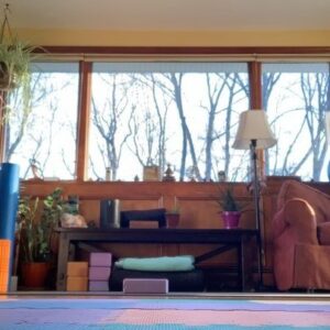 Lauren Kelston Instagram - Hi everyone! It’s been a minute. With all that’s going on in the world, the simplicity of my current day to day life has been a blessing. I have been doing my best to look inward and slow down. I’ve returned to a consistent morning yoga practice #sadhana, I’m spending more time in the kitchen #ayurveda, and doing my best to be fully present with my boys #momlife. I am hopeful that 2021 will be a year of new opportunities and some real positive energy moving forward 🙏🏻💗🙌🏻
.
What are you creating for yourself this year? 
.
Have you found a silver lining in the midst of all the craziness we’ve been living through?
.
Video 1 - time lapse of my Sadhana #asana
Video 2 - real time Vata sun salutation from @alicramer “Modern Ayurveda”
.
#yoga #sunsalutation #slowflow #yogamom #yogalove #yogalife #yogaeverydamnday #yogi #iloveyoga #yogateacher #grateful #inspire
