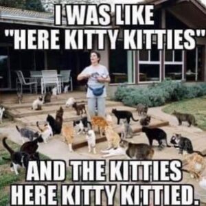Lauren Pritchard-Cobb Instagram - Y’all this describes my life right now! 😂😂😂😂🤣🤣🤣🤣🤣🤣🤣🤣🤣🤣🤣🤣🤣🤣🤣🤣😻😻😻😻😻😻😻😻😹😹😹😹😹😹😹